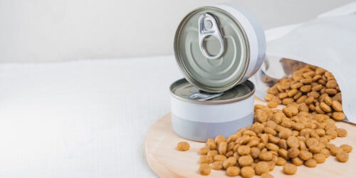 Pet food ready to be mixied